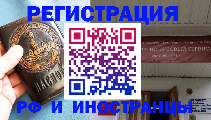 прописка поиск в Новгородской области